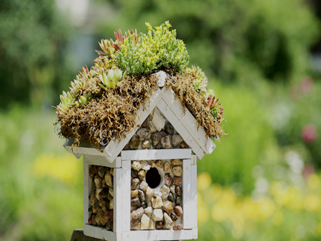 35 Unique Bird House Designs You Need Right Now